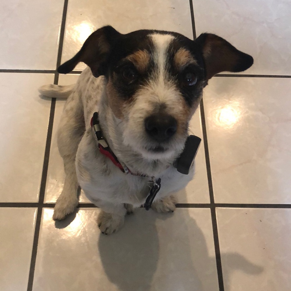 Meet your Posher, Marissa